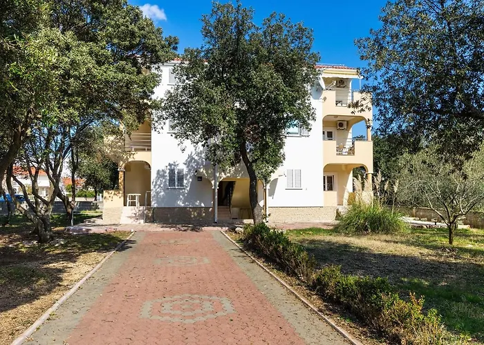 - Mulo 5951c ורסי